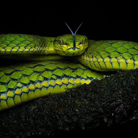 Munnar Workshop