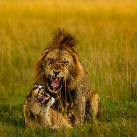Tanzania Workshop