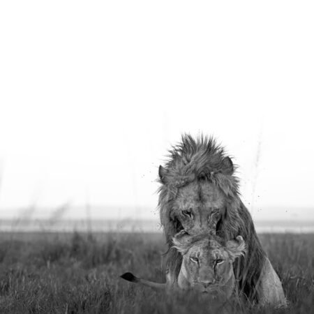 Masai Mara in Monsoon