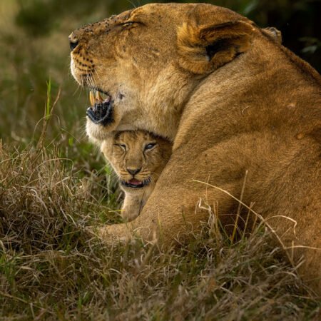 Kenya Expedition