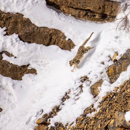Spiti Expedition