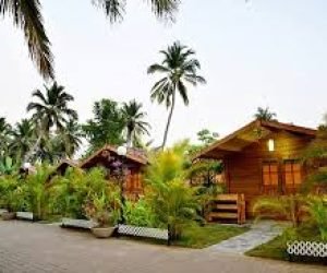 Image 2 (3)